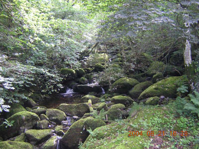 DSCN2165