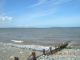 DSCN2155