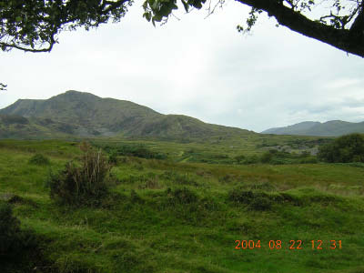 DSCN2174