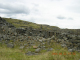 DSCN2182