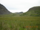 DSCN2183