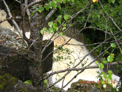 DSCN2191