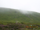 DSCN2196