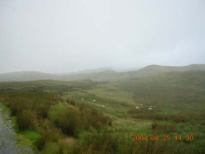 DSCN2207