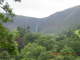 DSCN2206