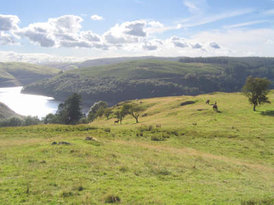 Llyn_brianne_1