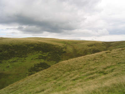 154_5426