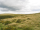 154_5424